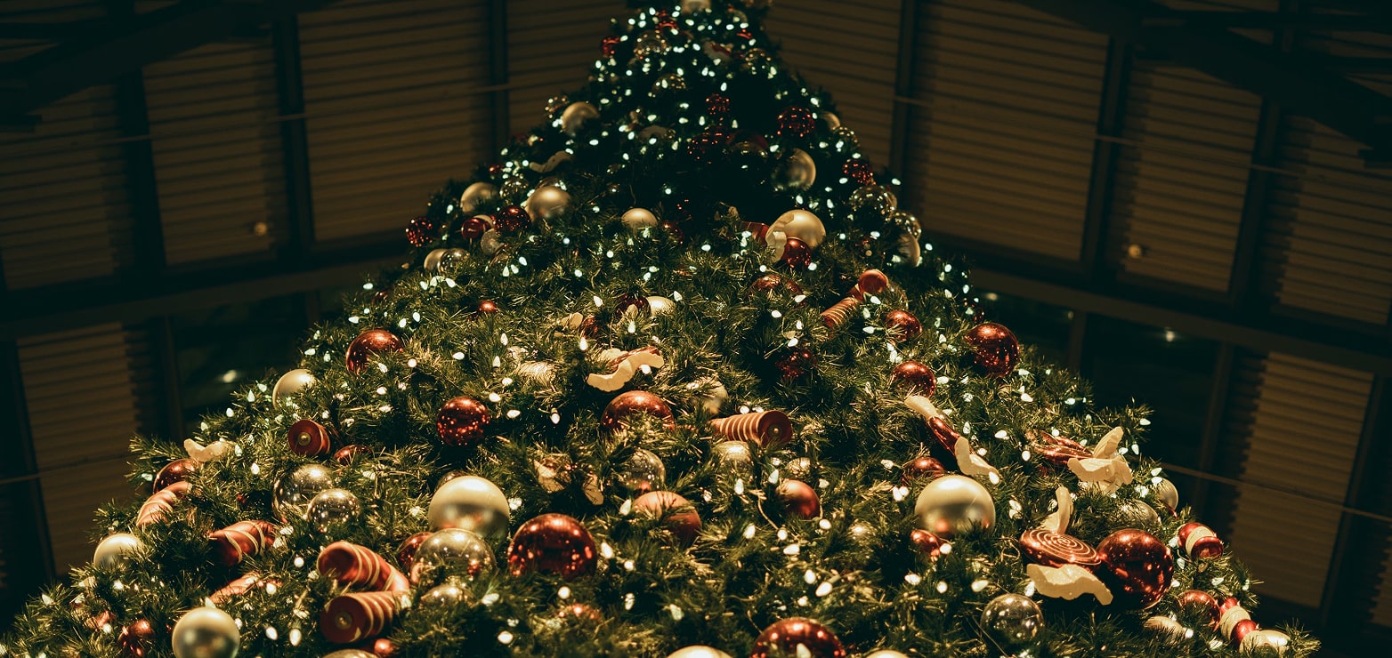 fountain well - Expert Guide and Reviews